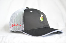 Load image into Gallery viewer, Golfoholics Black Mesh Performance Cap